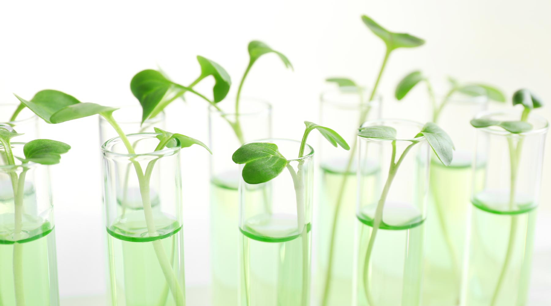 Freedom From Toxins: Embrace Safe and Effective Skincare with Osmosis