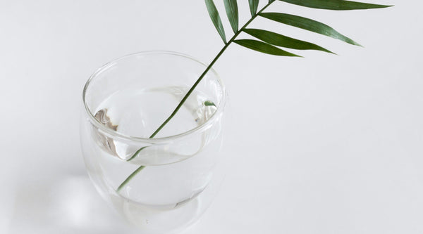 Glass jar water and a small green branch on a white background