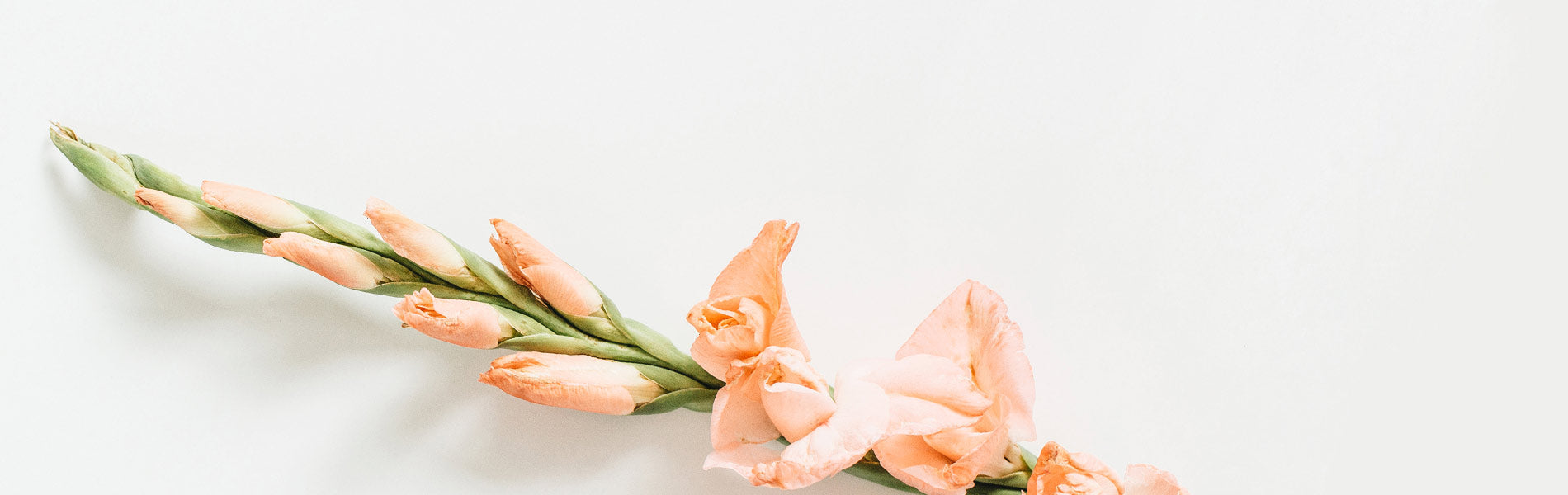 Mother's Day Gift Guide