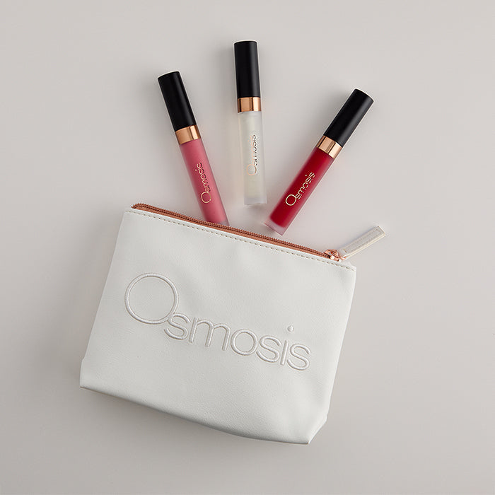 Under the Mistletoe Lip Kit Holistic Holiday Collection 2026