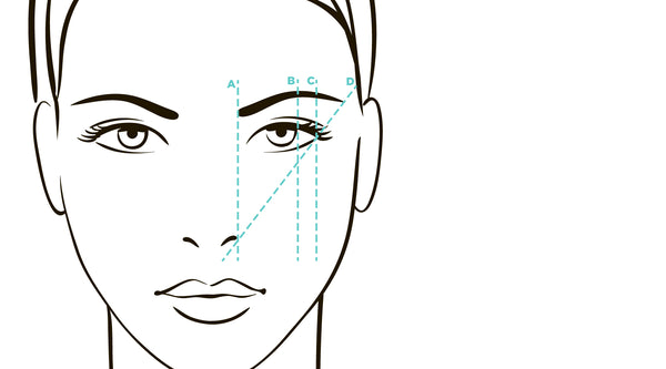 Ultimate Step-by-Step Brow Mapping Diagram – Osmosis Beauty