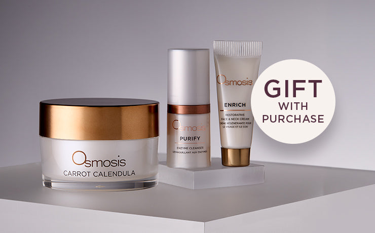 Osmosis Carrot Calendula Mask Purify Enzyme Cleanser and Enrich Restorative Face and Neck Cream on a grey background with a gift with purchase call out.